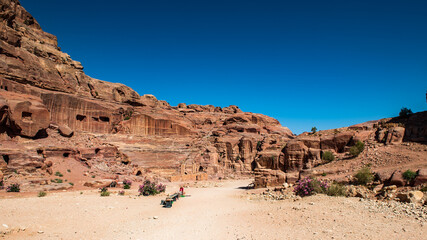 Fototapeta premium It's Nature, rocks, mountains and panorama of Petra, Jordan. Petra is one of the New Seven Wonders of the World. UNESCO World Heritage