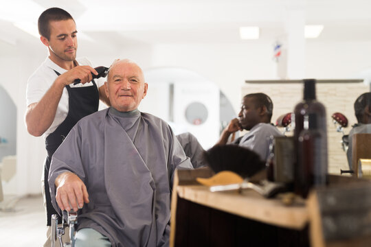 Aged male client getting haircut