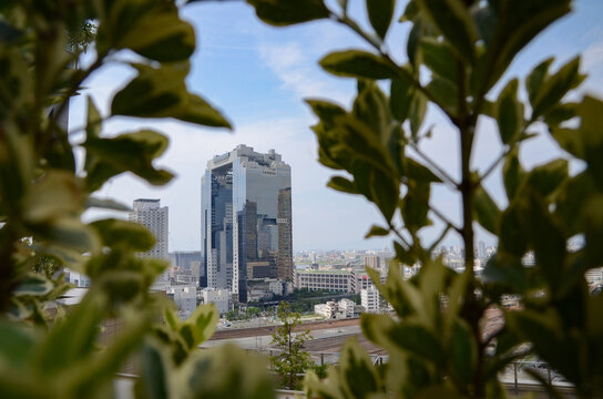 city