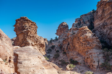 Fototapeta na wymiar It's Rocks and nature in Petra, Jordan