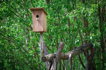 Wooden bird house in bright green foliage.