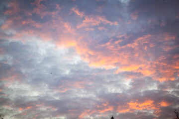 Sky with clouds at sunset. Birds in the sky at sunset.