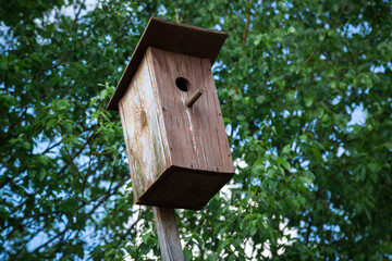 Wooden bird house in bright green foliage.