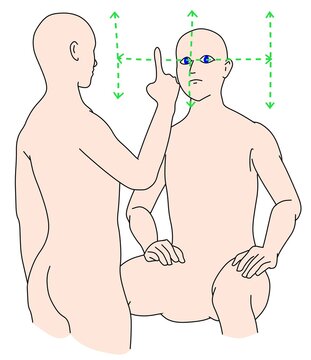 examination of extraoccular muscle movement.
