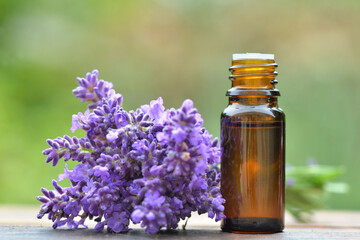 bottle of essential oil and bouquet of  lavender flower s arranged on a wooden table on green background