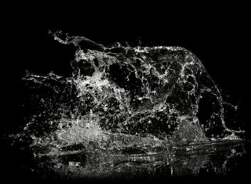 water splash on black background
