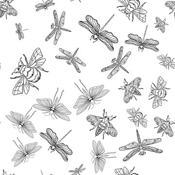 Seamless pattern with the image of butterflies, dragonflies, insects. Anti-stress coloring.