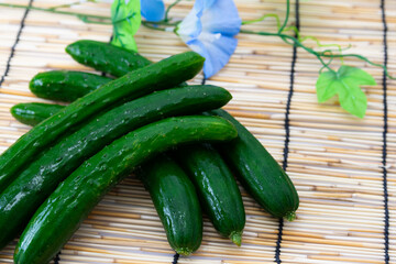 夏にすだれの上に置かれた瑞々しいきゅうり