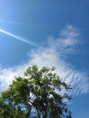 Beautiful clear sky clouds