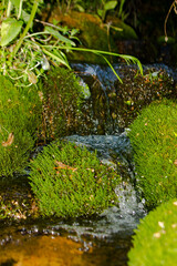 waterfall