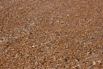 Sea background. Sand and shells texture. A wave floating on the sand closeup. 