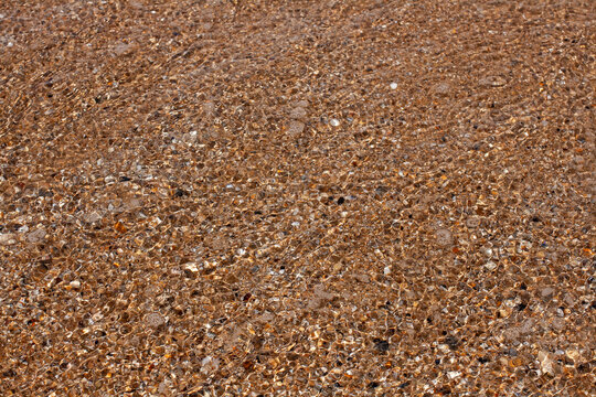 Sea background. Sand and shells texture. A wave floating on the sand closeup. 