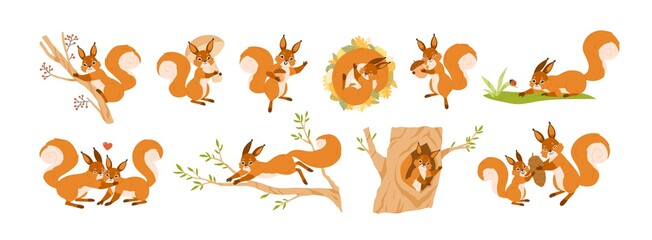 Set of cute squirrel character vector flat illustration. Collection of funny wild animal parent, child and couple isolated on white. Colorful forest inhabitant jumping, sleeping and creeping © Good Studio