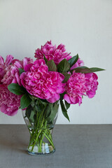 
bouquet of pink peonies in a glass vase on a gray background