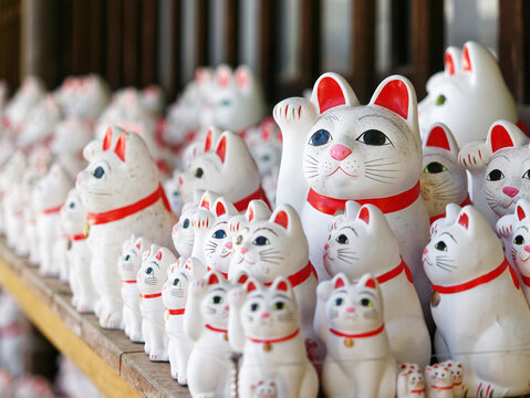 Lucky cat Maneki neko Japan traditional doll