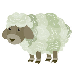 cute little sheep from the farm, flat, isolated object on a white background, vector illustration,