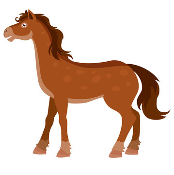 brown horse from the farm, flat, isolated object on a white background, vector illustration,