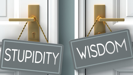 wisdom or stupidity as a choice in life - pictured as words stupidity, wisdom on doors to show that stupidity and wisdom are different options to choose from, 3d illustration - obrazy, fototapety, plakaty