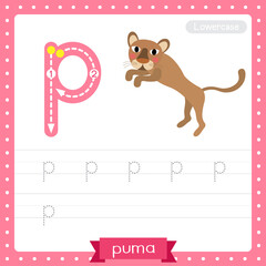 Letter P lowercase tracing practice worksheet of Jumping Puma