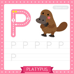 Letter P uppercase tracing practice worksheet of Standing Platypus