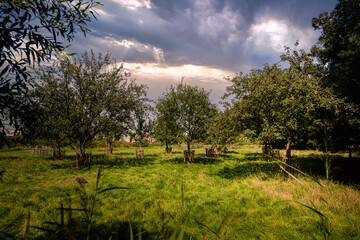 Saint-Germain-de-Pasquier