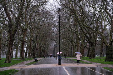 walk in the park