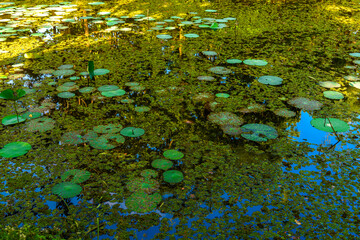 The gardens of Sigiriya, Sri Lanka. UNESCO World Heritage Site