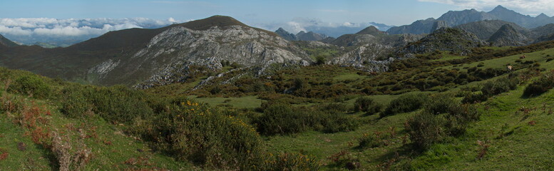 Landscape at Lagos de Covadonga in Picos de Europa National Park in Asturias,Spain,Europe
