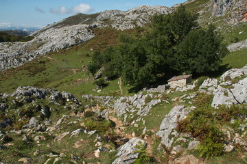 Fototapeta na wymiar Stone hut at Lagos de Covadonga in Picos de Europa National Park in Asturias,Spain,Europe 