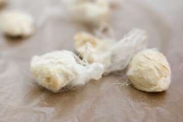 Fototapeta na wymiar Silkworm cocoon in silk threads.