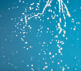 Splashes of white milk isolated on a blue background.