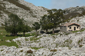 Fototapeta na wymiar Stone hut at Lagos de Covadonga in Picos de Europa National Park in Asturias,Spain,Europe 