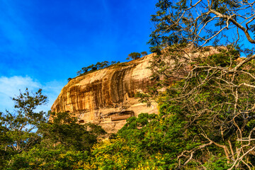 Obraz premium Nature of Sigiriya, Sri Lanka. UNESCO World Heritage Site