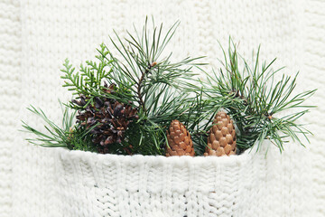 Christmas pine branches with cones in knitted pocket of knitted woolen fabric