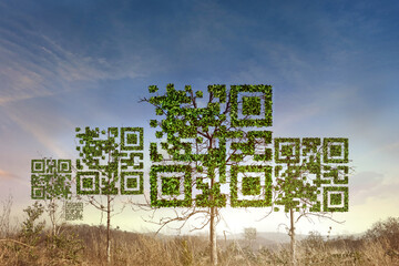 QR code tree with a symbol in the dry forest background. Technology ,Business and Nature Concept.
