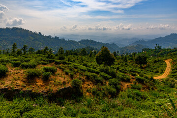 Nature of Sri Lanka