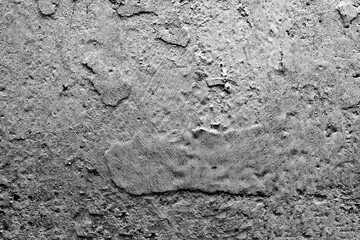 Grey color texture pattern abstract background can be use as wall paper