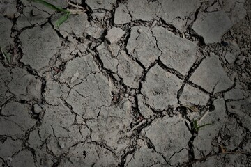 texture of the ground