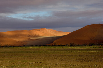 morning light at namibian desert