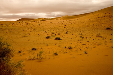 Fototapeta na wymiar scenic view over namibian desert