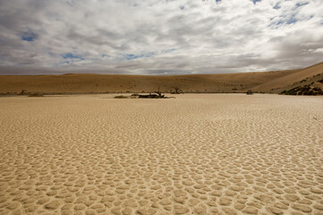 morning light at namibian desert
