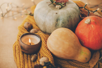 Fototapeta na wymiar Hello fall. Cozy rustic autumn image. Pumpkins, autumn leaves, candle and acorns, walnuts, berries on yellow knitted sweater on rustic wood. Happy Thanksgiving