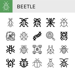 Set of beetle icons