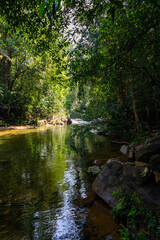 Fototapeta na wymiar River in the Sinharaja Forest Reserve, a national park in Sri Lanka. UNESCO World Heritage