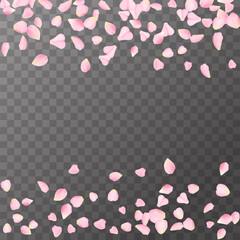Abstract romanic background with flying Pink rose, cherry or sakura petals petals isolated on a transparent background. Flying pink petals mock up. Vector illustration. EPS 10.