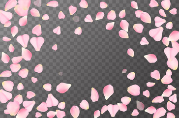 Abstract romanic background with flying Pink rose, cherry or sakura petals petals isolated on a transparent background. Flying pink petals mock up. Vector illustration. EPS 10.