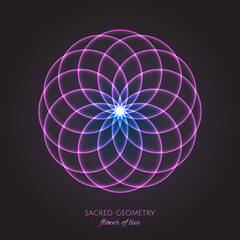 Pink flower of Life. Sacred Geometry. Symbol of Harmony and Balance. Vector Illustration