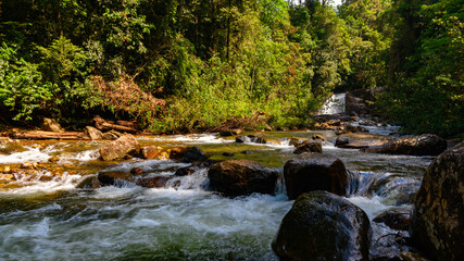 Sinharaja Forest Reserve,  a national park in Sri Lanka. UNESCO World Heritage