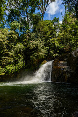 Fototapeta na wymiar River in the Sinharaja Forest Reserve, a national park in Sri Lanka. UNESCO World Heritage