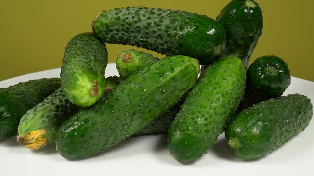Closeup view 4k video footage of many organic fresh green cucumbers apper on white plate. Healthy organic vegetables from eco farm.